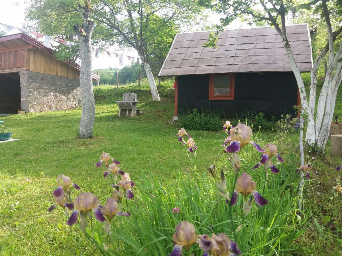 Etno Guest House Lalovic Tjentiste Luaran gambar